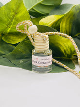 Load image into Gallery viewer, Black Currant Absinthe Car Diffuser
