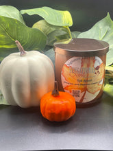 Load image into Gallery viewer, Fall Appeal Scented Candle
