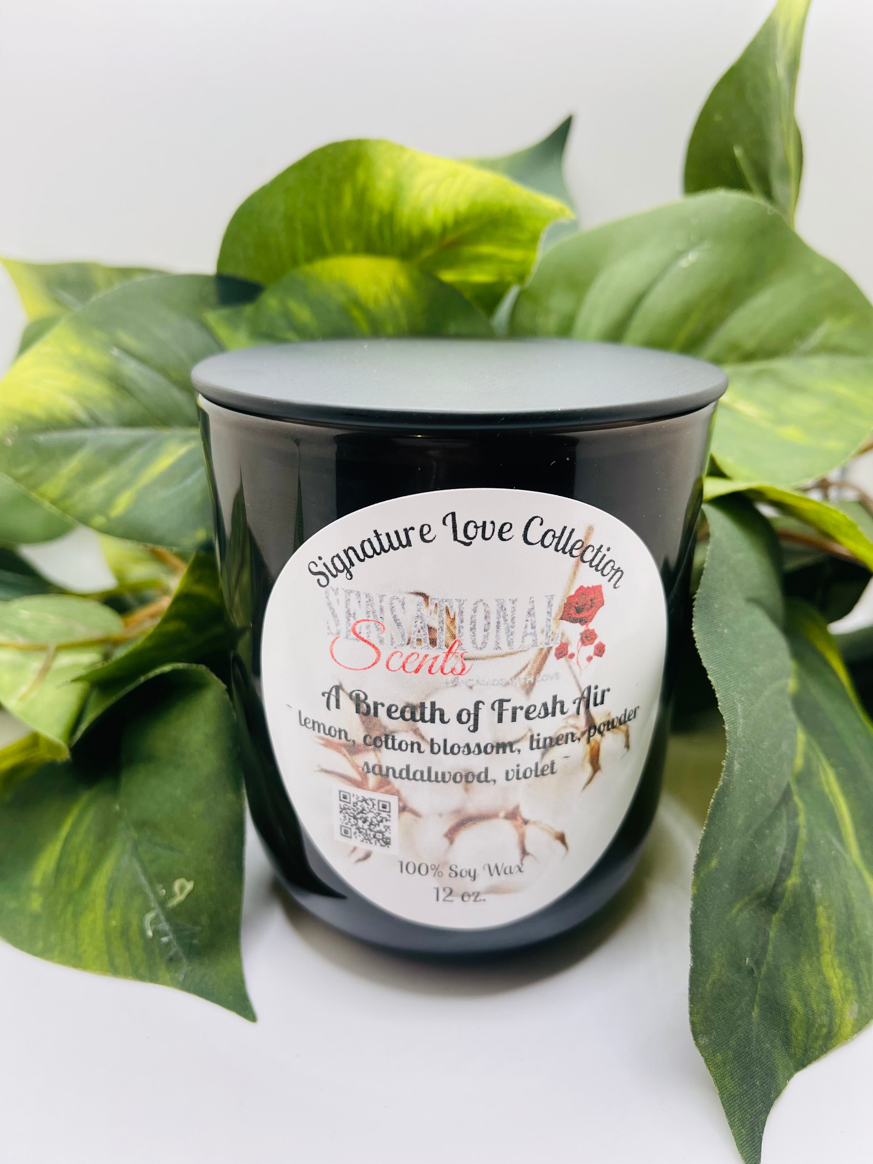 A Breath of Fresh Air Scented Candle